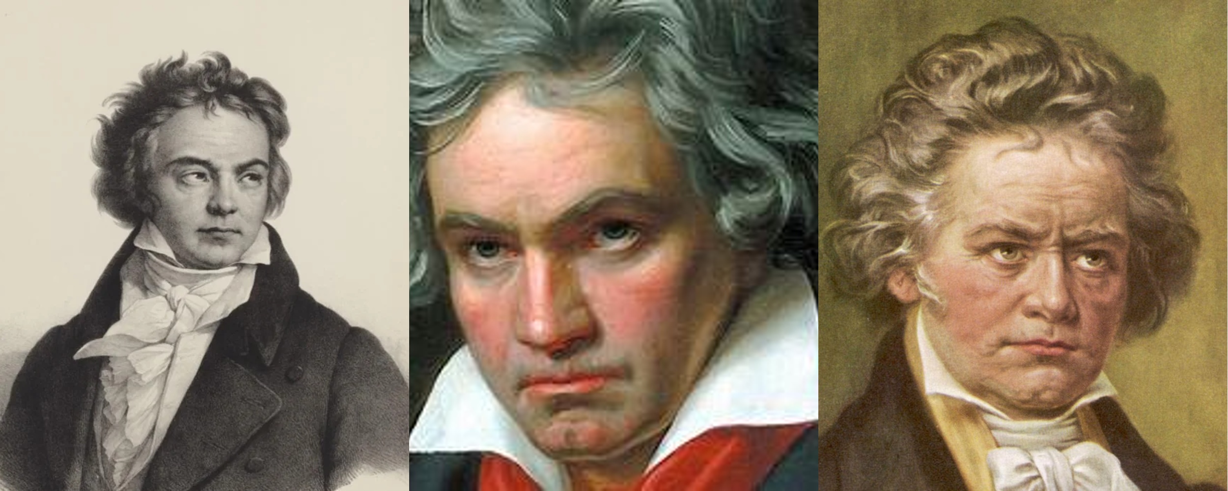 Beethoven Project Detail